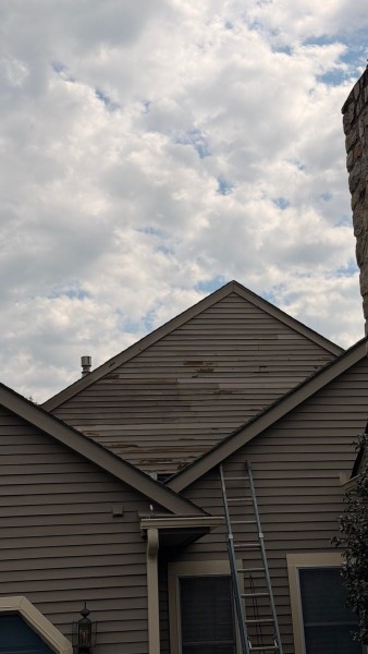 Exterior Cedar