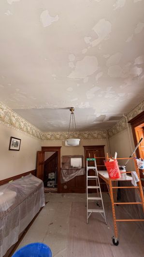 Ceiling & Drywall Repairs